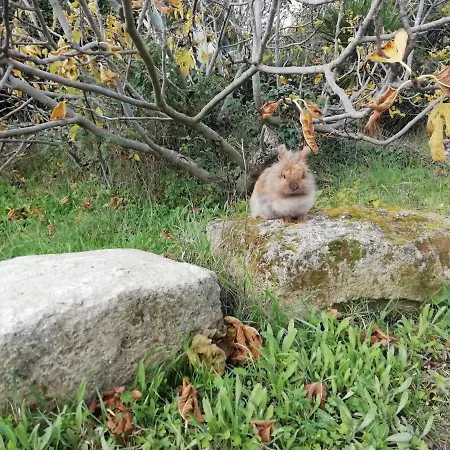 Domaine Sesquier Mas D'exception Iris Сasa de vacaciones Mèze