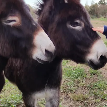 Domaine Sesquier Mas D'exception Iris Vakantiehuis Mèze